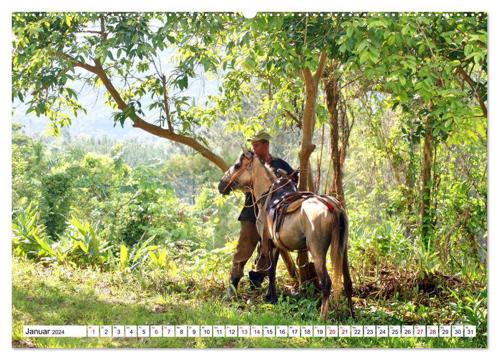Cuba Cowboys - Wild West in the Caribbean (CALVENDO Premium Wall Calendar 2024) 