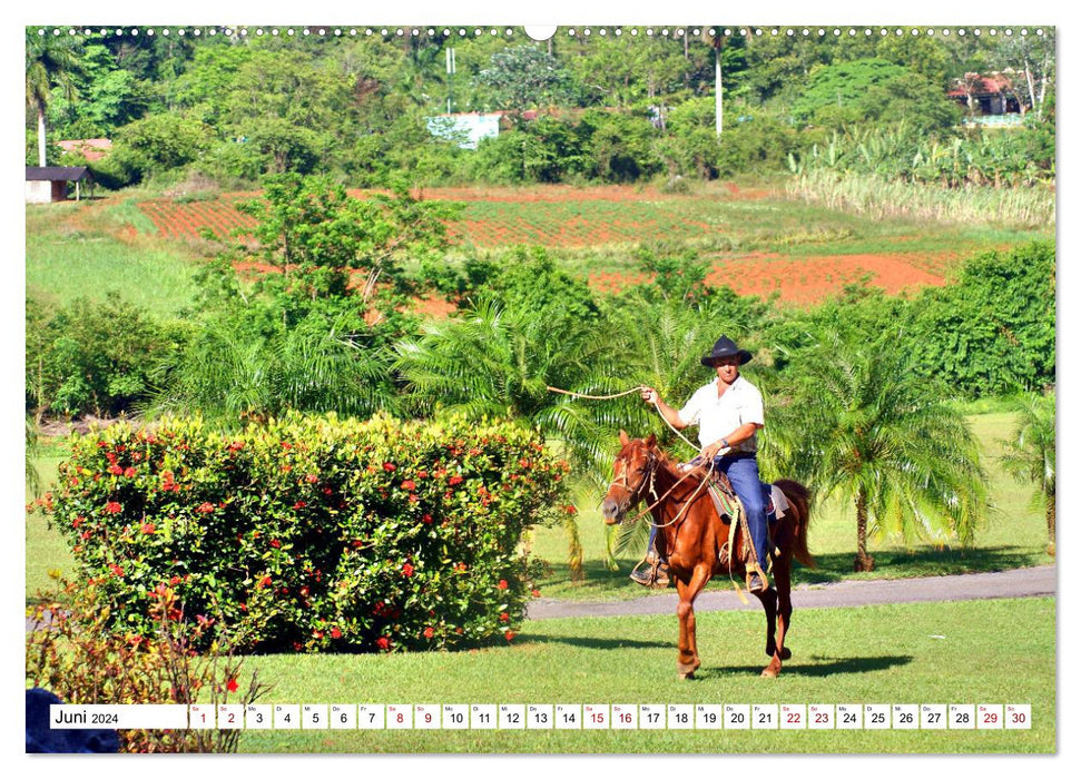 Cuba Cowboys - Wild West in the Caribbean (CALVENDO Premium Wall Calendar 2024) 