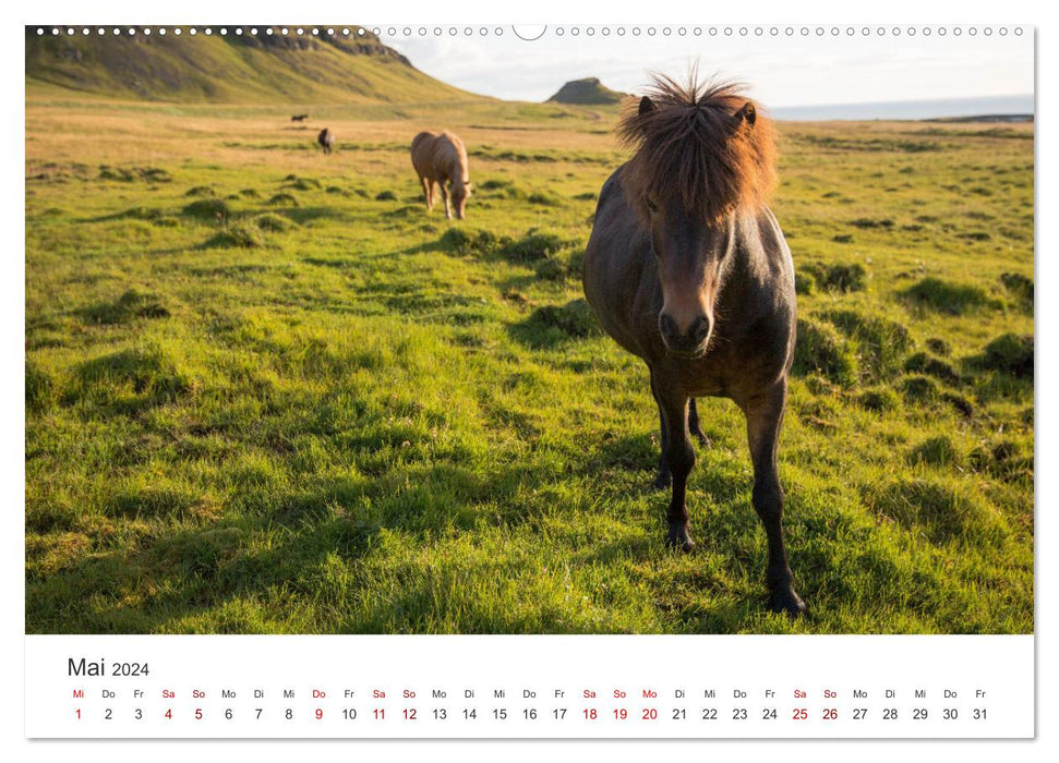 Iceland - More than just an island. (CALVENDO Premium Wall Calendar 2024) 