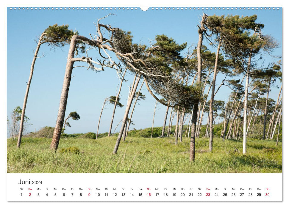 Faszination Natur - Bilder aus Mecklenburg-Vorpommern (CALVENDO Wandkalender 2024)