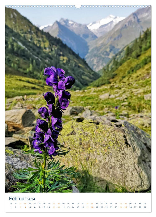 Sommer in Österreich - sonnige Tage in den Bergen (CALVENDO Premium Wandkalender 2024)