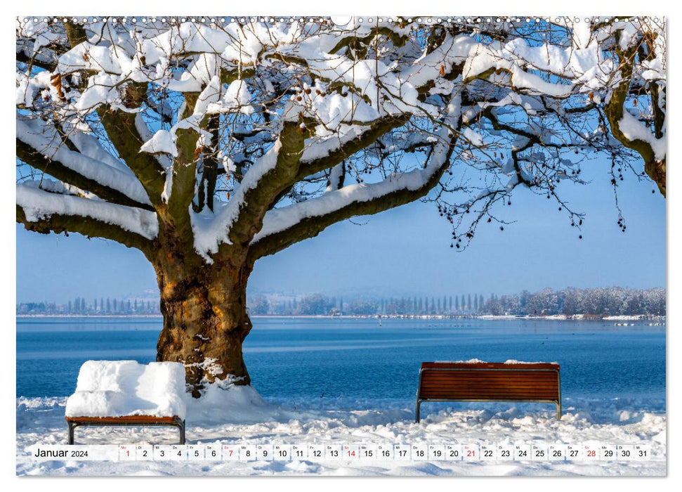 Heimatliebe Bodensee (CALVENDO Premium Wandkalender 2024)
