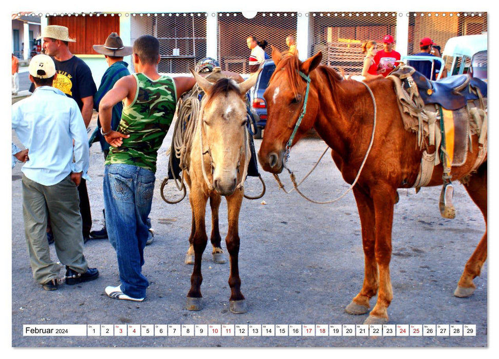 Cuba Cowboys - Wildwest in der Karibik (CALVENDO Wandkalender 2024)