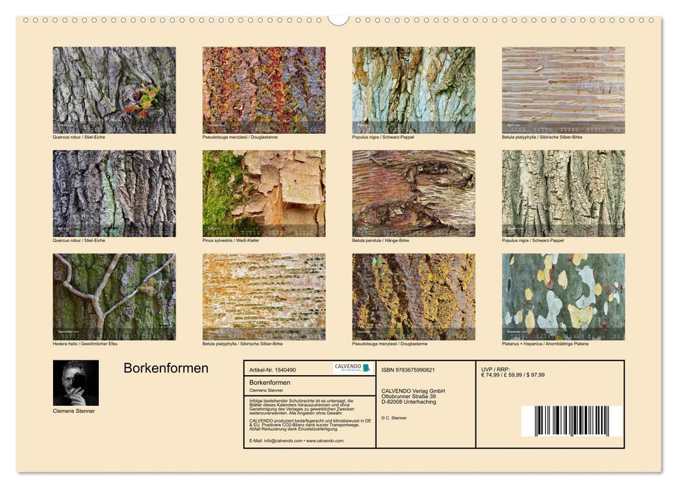 Borkenformen (CALVENDO Premium Wandkalender 2024)