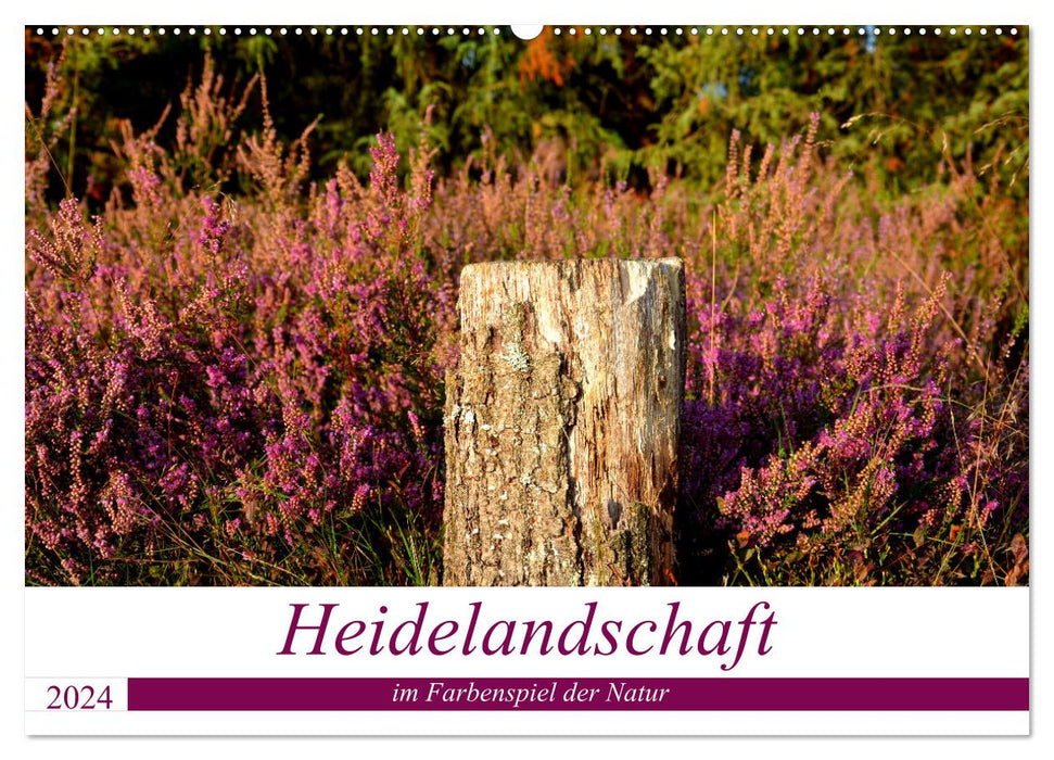 Heathland landscape in the play of colors of nature (CALVENDO wall calendar 2024) 