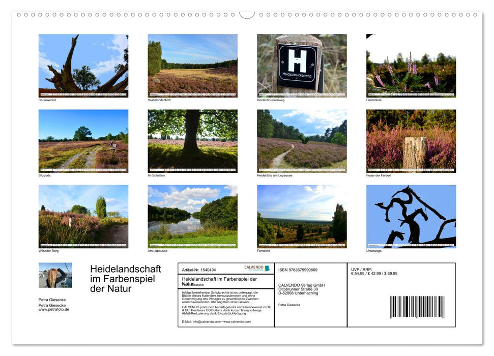 Heathland landscape in the play of colors of nature (CALVENDO wall calendar 2024) 