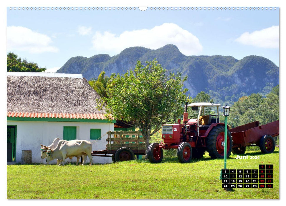 Traktoren in Kuba - Veteranen aus Ost und West (CALVENDO Premium Wandkalender 2024)