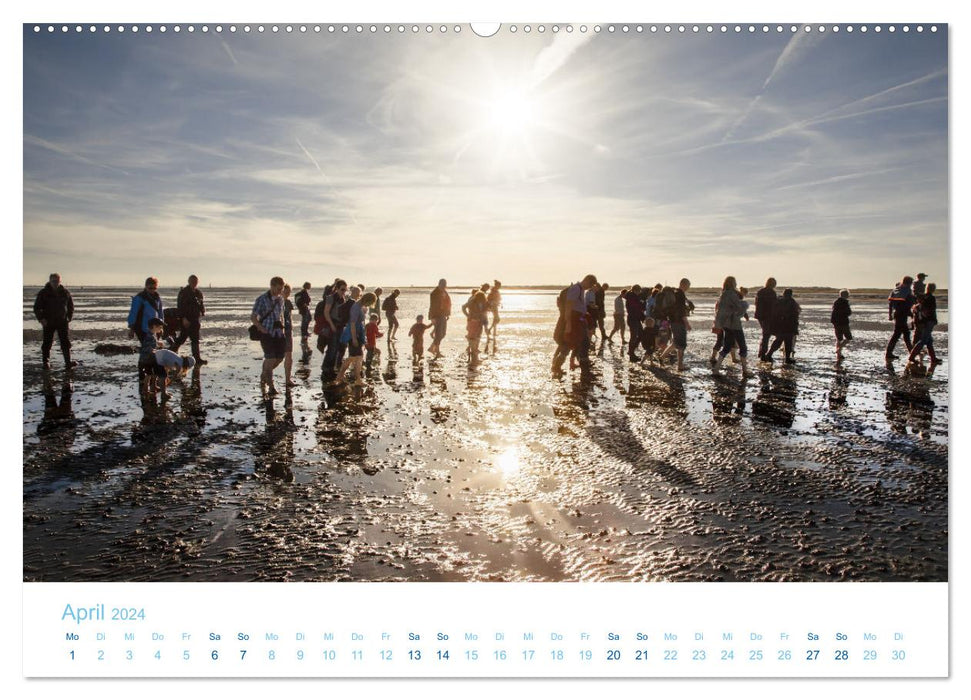 Mehr Nordsee (CALVENDO Wandkalender 2024)