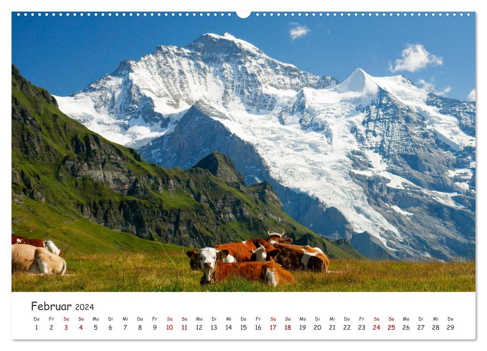 Wunderschöne Schweiz (CALVENDO Premium Wandkalender 2024)