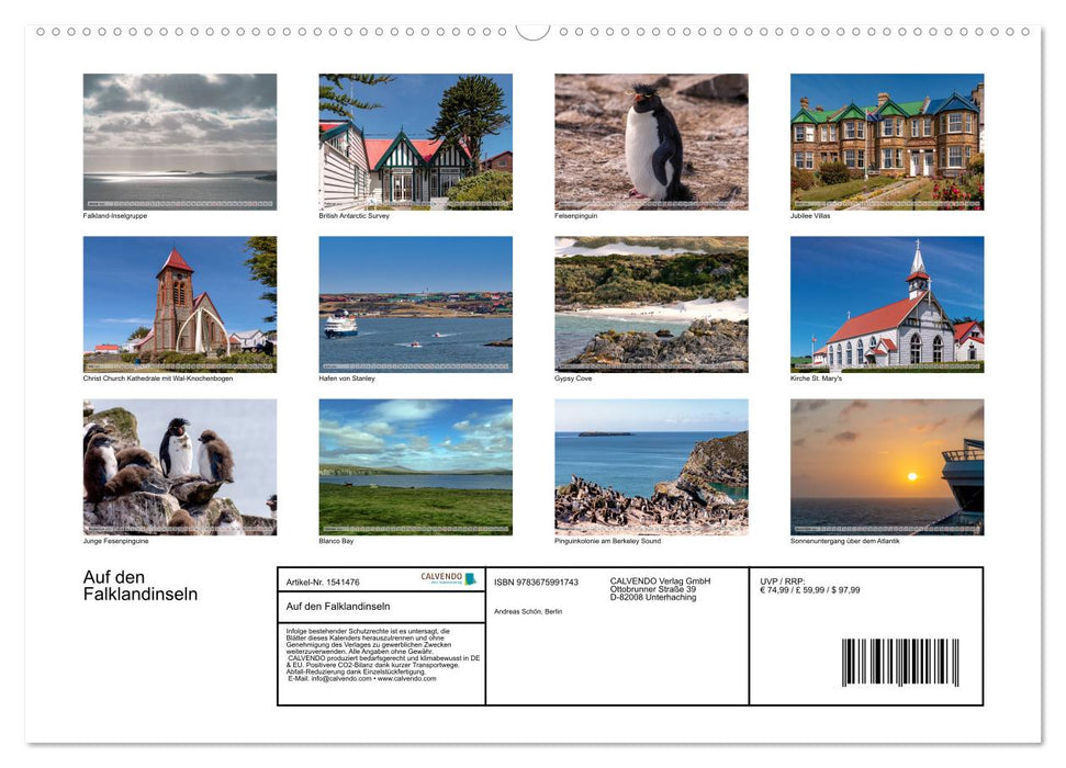 Sur les îles Falkland (Calvendo Premium Wall Calendar 2024) 