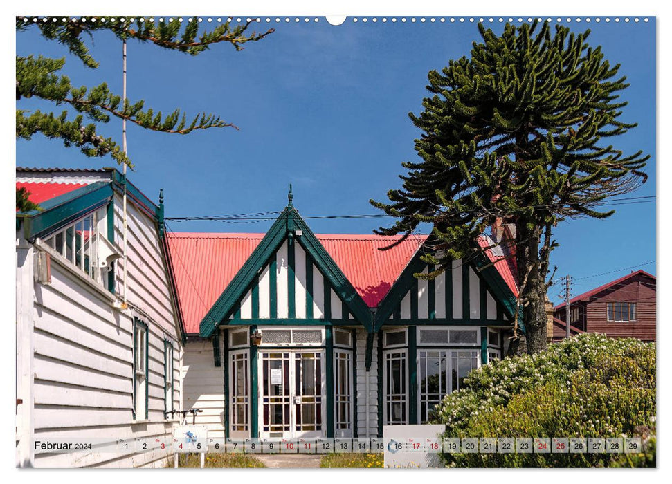 Auf den Falklandinseln (CALVENDO Premium Wandkalender 2024)