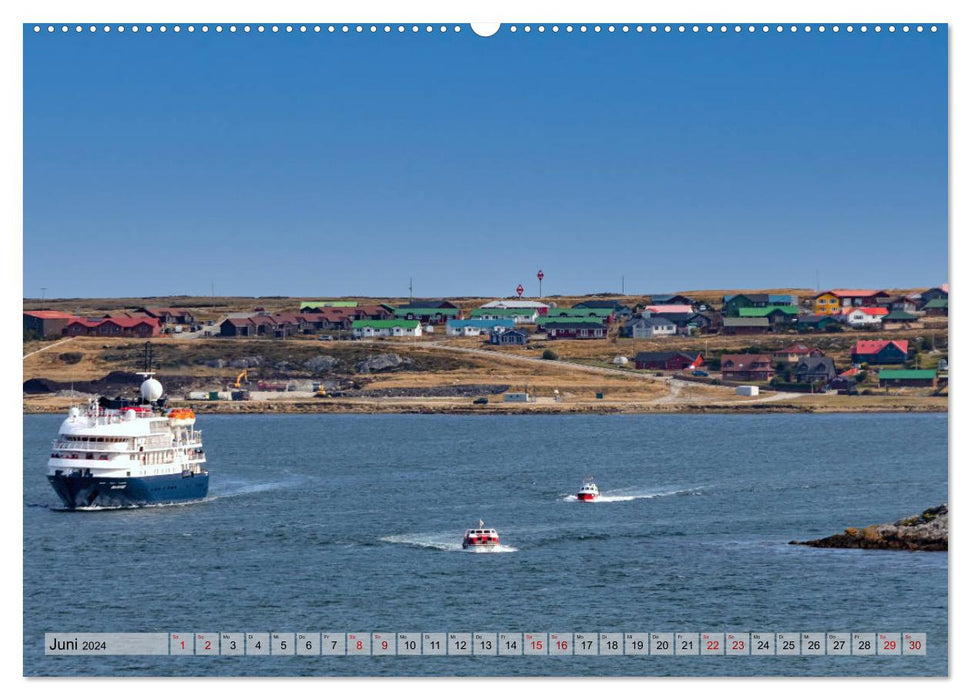 Auf den Falklandinseln (CALVENDO Premium Wandkalender 2024)