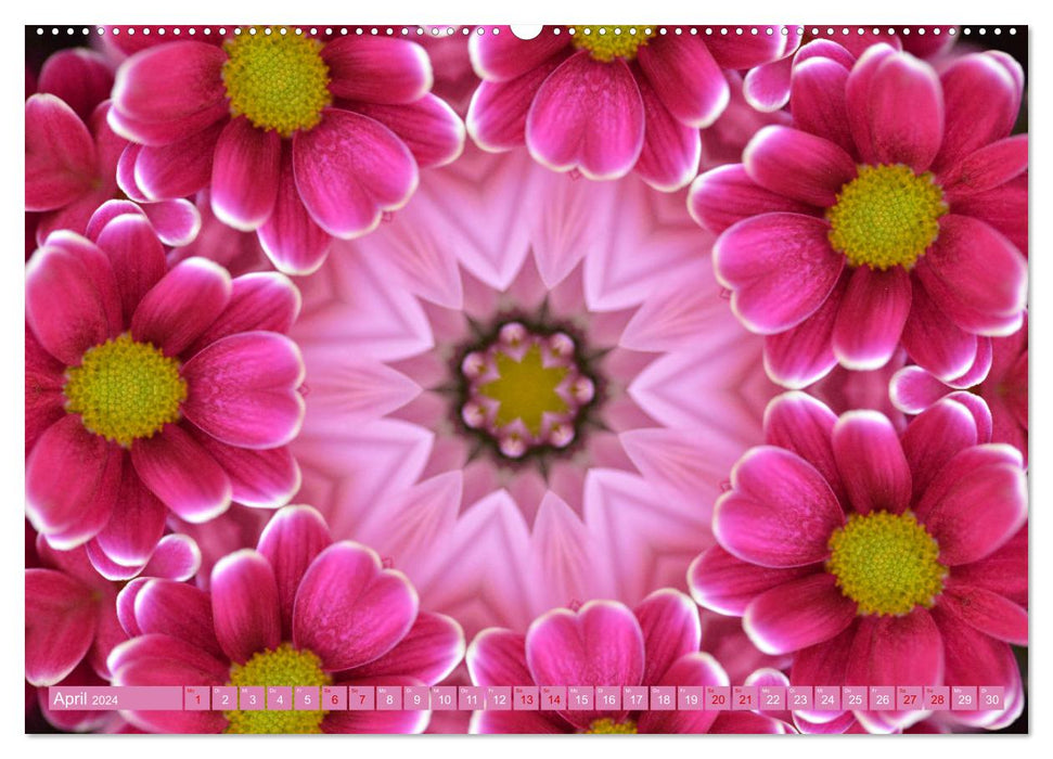 Blütenzauber im KALEIDOSKOP (CALVENDO Wandkalender 2024)