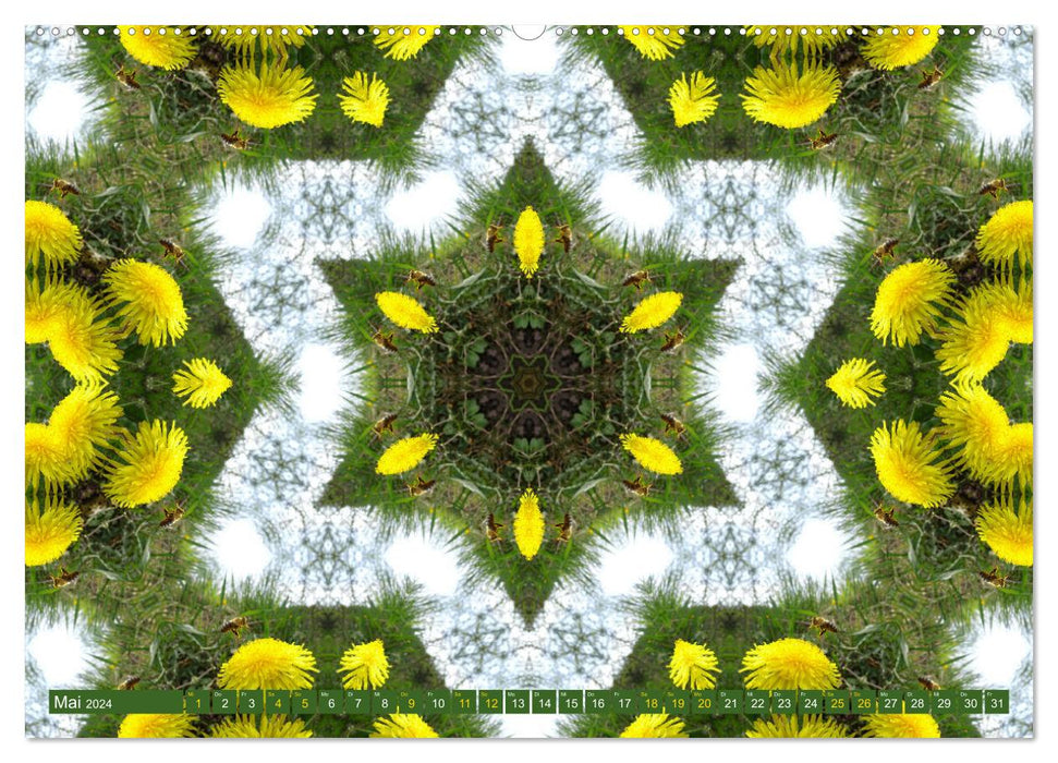 Blütenzauber im KALEIDOSKOP (CALVENDO Wandkalender 2024)