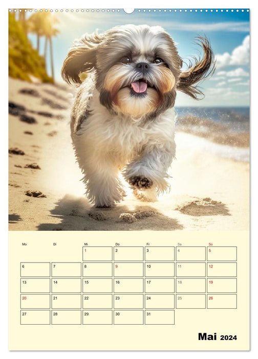 Shih Tzu Alarm. Glückliche Wuschelköpfe (CALVENDO Premium Wandkalender 2024)