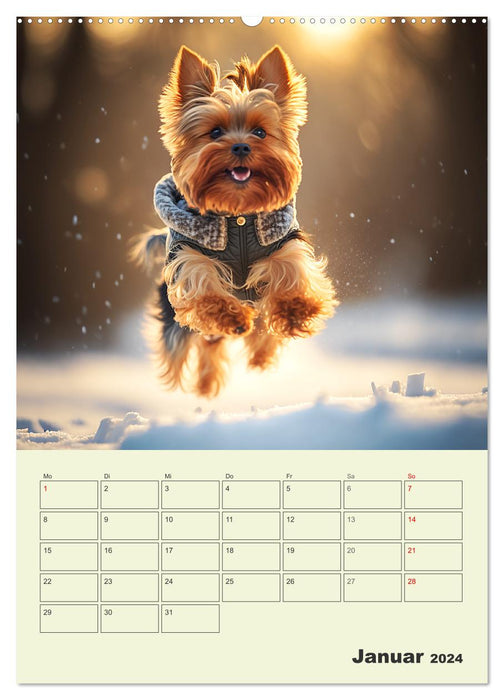 Yorkshire Terrier. Fröhliche Energiebündel in Aktion (CALVENDO Premium Wandkalender 2024)