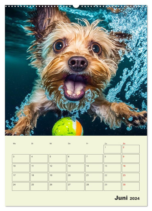 Yorkshire Terrier. Fröhliche Energiebündel in Aktion (CALVENDO Premium Wandkalender 2024)