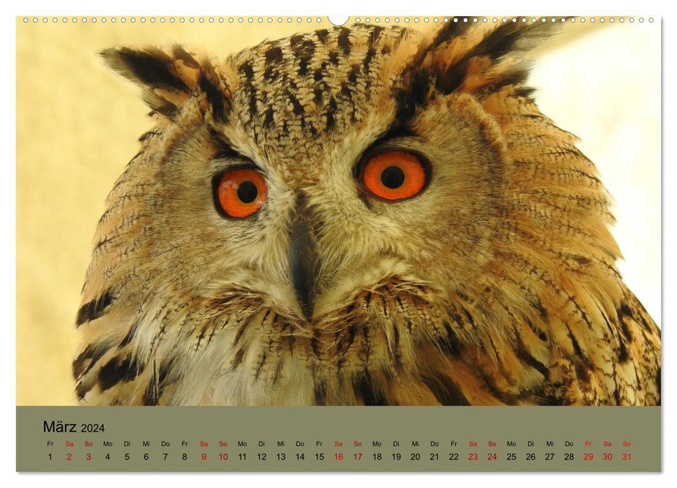 Majestätische Jäger der Lüfte (CALVENDO Wandkalender 2024)