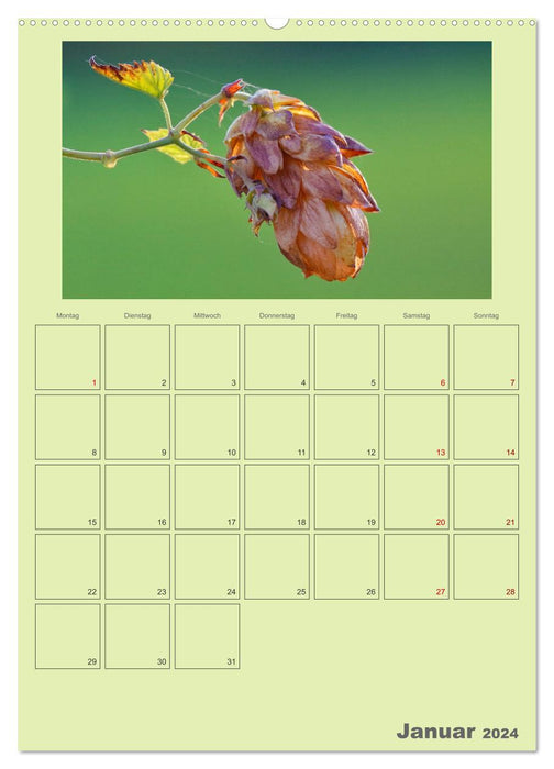Wildsaatplaner - Zauber der Wildfrüchte (CALVENDO Wandkalender 2024)