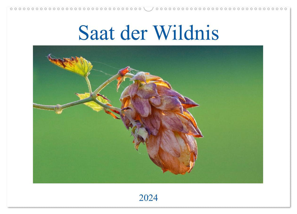 Saat der Wildnis (CALVENDO Wandkalender 2024)