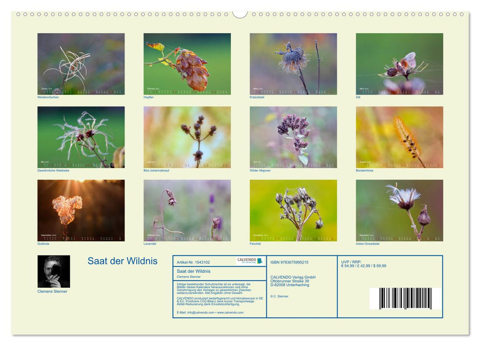 Saat der Wildnis (CALVENDO Wandkalender 2024)