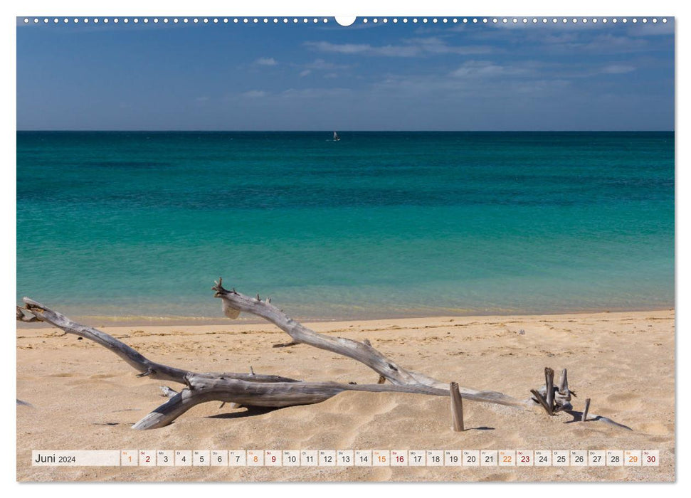 Cap-Vert - Des îles pleines de couleurs, de lumière et de vivacité (Calendrier mural CALVENDO Premium 2024) 