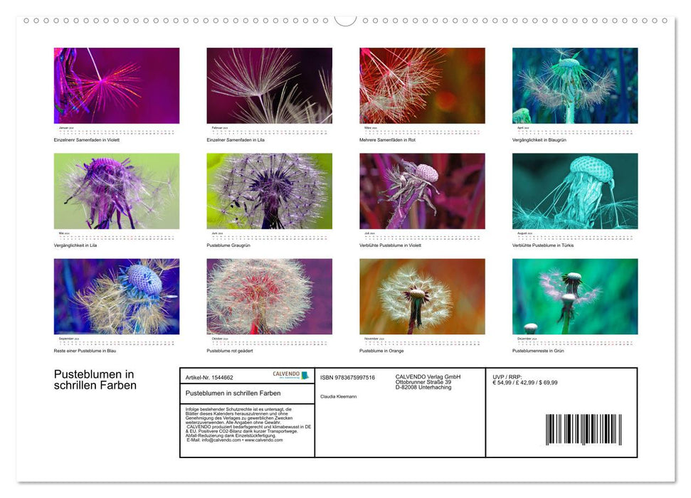 Pusteblumen in schrillen Farben (CALVENDO Wandkalender 2024)