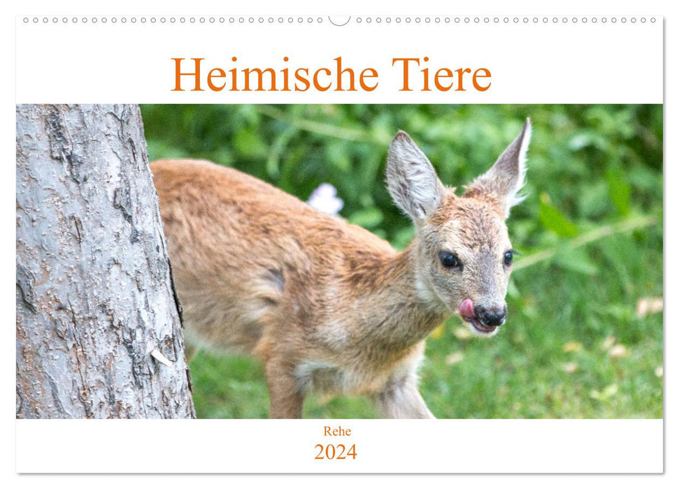 Heimische Tiere - Rehe (CALVENDO Wandkalender 2024)