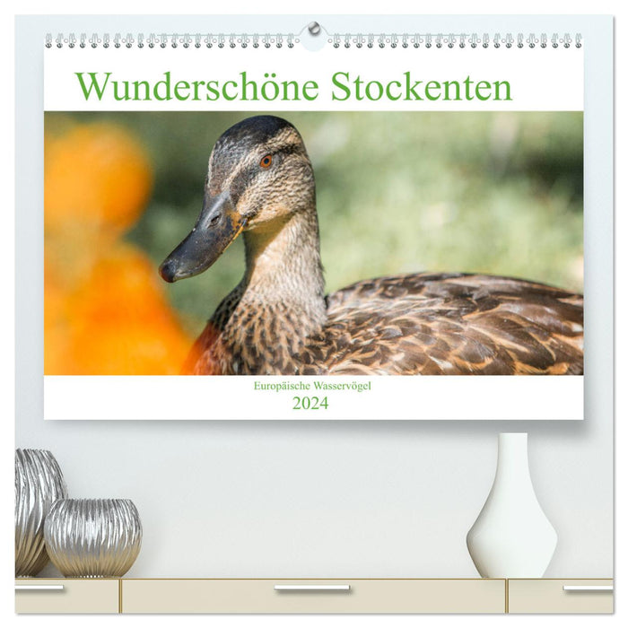 Wunderschöne Stockenten - Europäische Wasservögel (CALVENDO Premium Wandkalender 2024)
