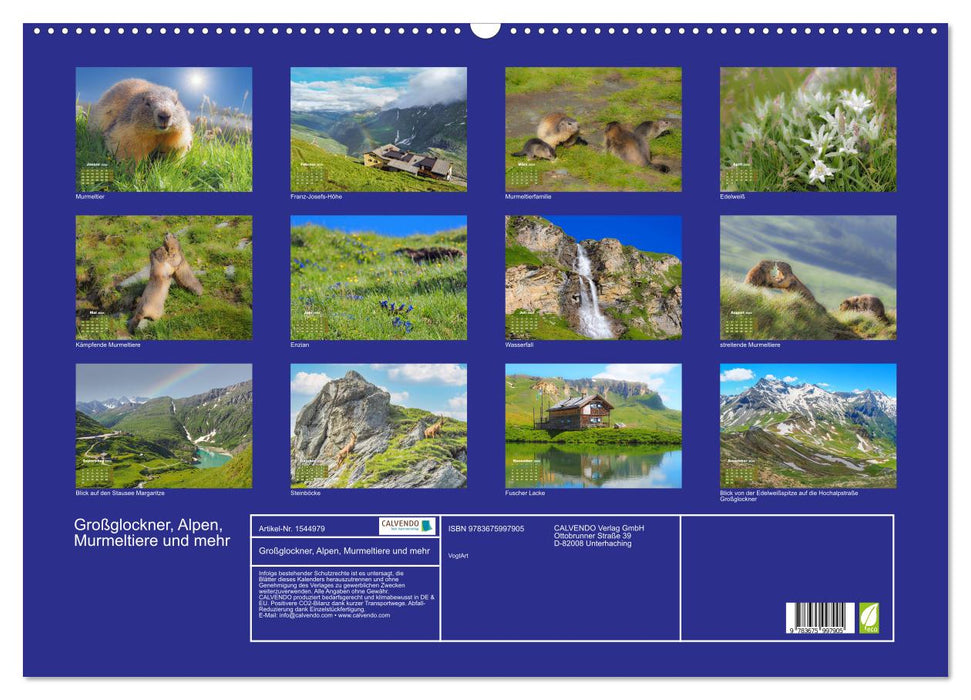 Großglockner, Alpen, Murmeltiere & mehr by VogtArt (CALVENDO Wandkalender 2024)