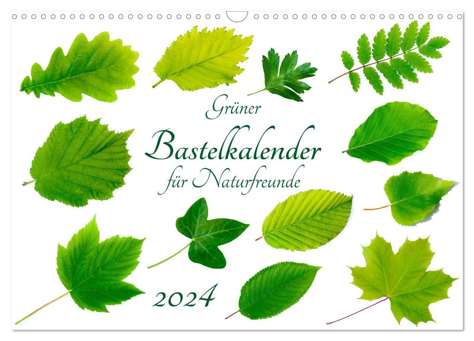 Grüner Bastelkalender für Naturfreunde (CALVENDO Wandkalender 2024)