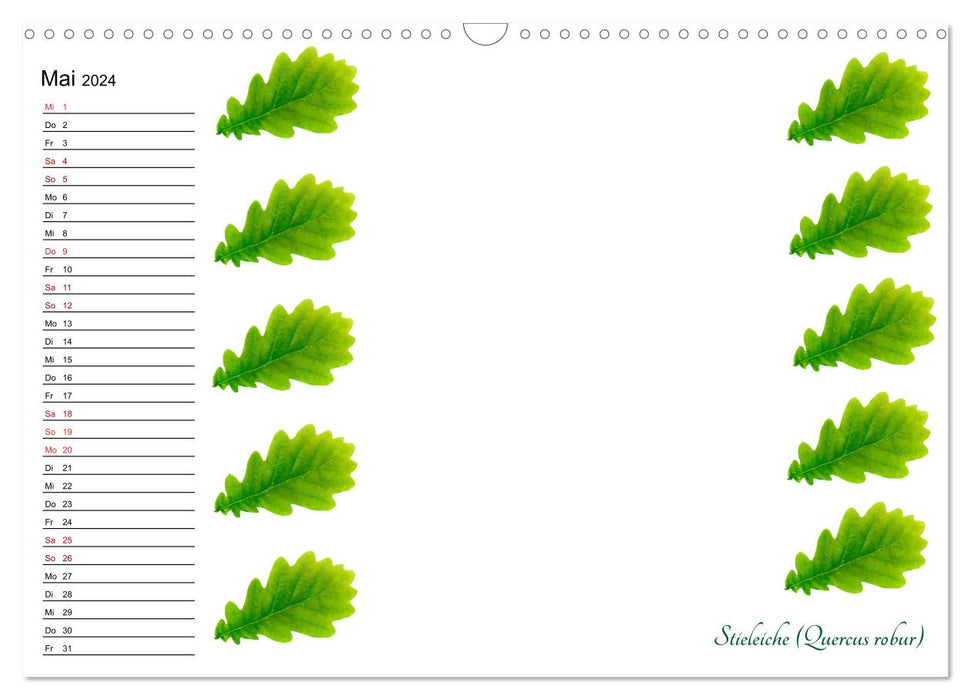 Calendrier artisanal vert pour les amoureux de la nature (calendrier mural CALVENDO 2024) 