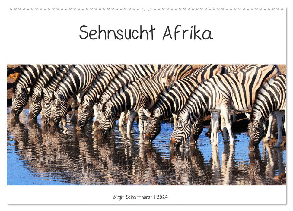 Envie d'Afrique - Faune fascinante de l'Afrique australe (Calendrier mural CALVENDO 2024) 
