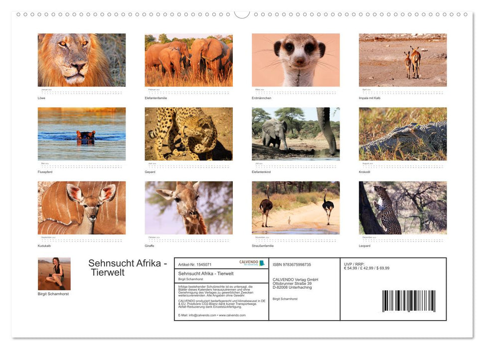 Sehnsucht Afrika - Faszinierende Tierwelt im südlichen Afrika (CALVENDO Wandkalender 2024)