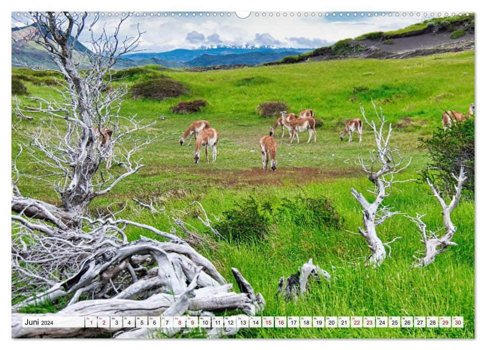 Patagonien: Impressionen vom anderen Ende der Welt (CALVENDO Premium Wandkalender 2024)