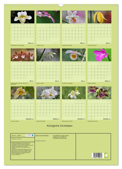 Königliche Orchideen (CALVENDO Wandkalender 2024)