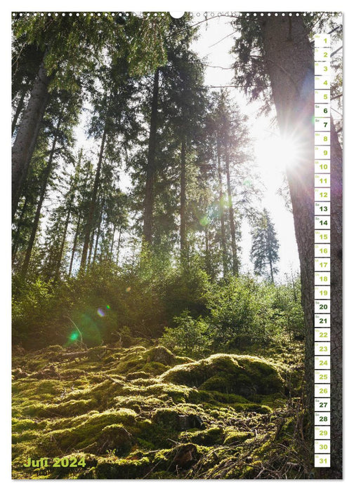 EIFEL - Les lieux de pouvoir de la forêt et de l'eau (Calvendo Premium Wall Calendar 2024) 