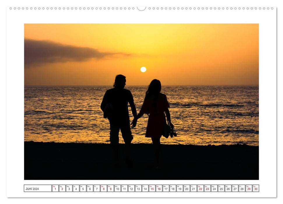 Silhouettes atmosphériques (Calendrier mural CALVENDO Premium 2024) 